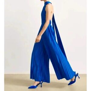 Massimo Dutti / Zara pleated jumpsuit